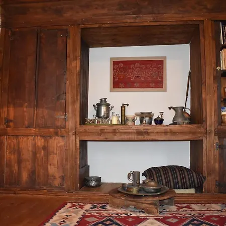 The Doctor's Mansion - Arkadia