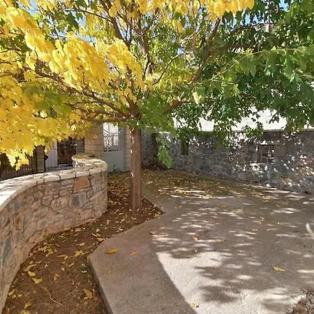 The Doctor's Mansion - Arkadia *