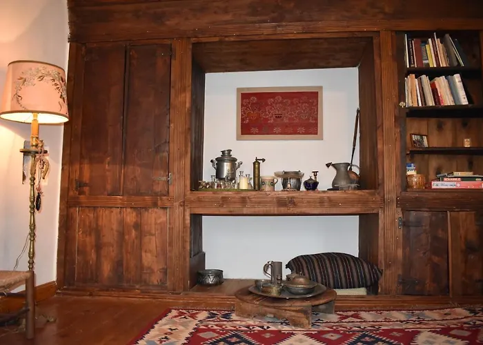 The Doctor's Mansion - Arkadia