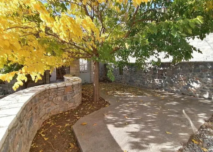 The Doctor's Mansion - Arkadia *